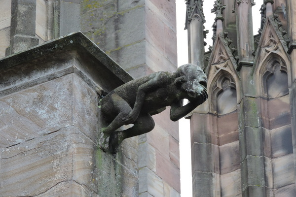 Stiftskirche St. Florentius - Niederhaslach Collgiale Emilie Raynaud