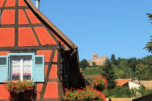  Slestat Haut-Koenigsbourg Tourisme