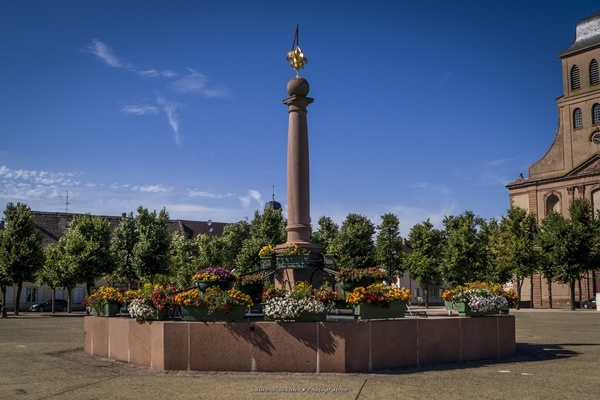 Laurent Bechler Photographie Laurent Bechler Photographie