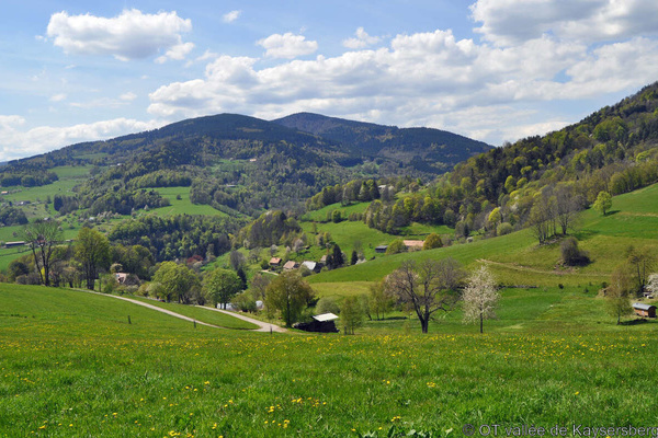 Lapoutroie  OT valle de Kaysersberg